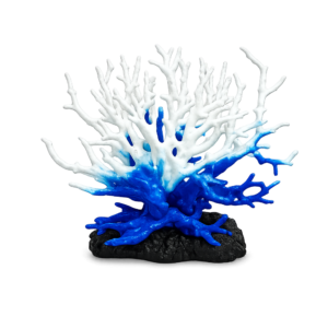 Coral (M)